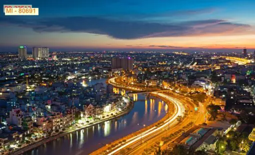 Tranh - ML80691