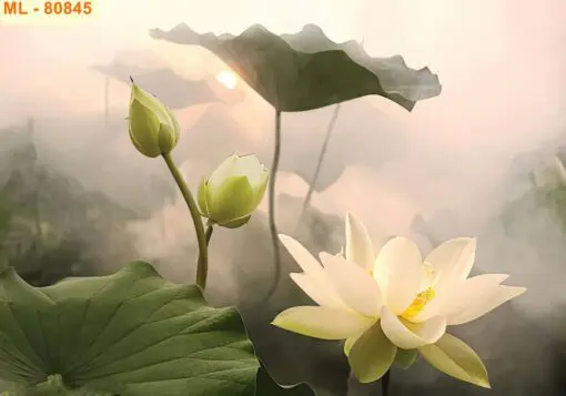 Tranh - ML80845