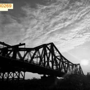 Tranh - ML80269