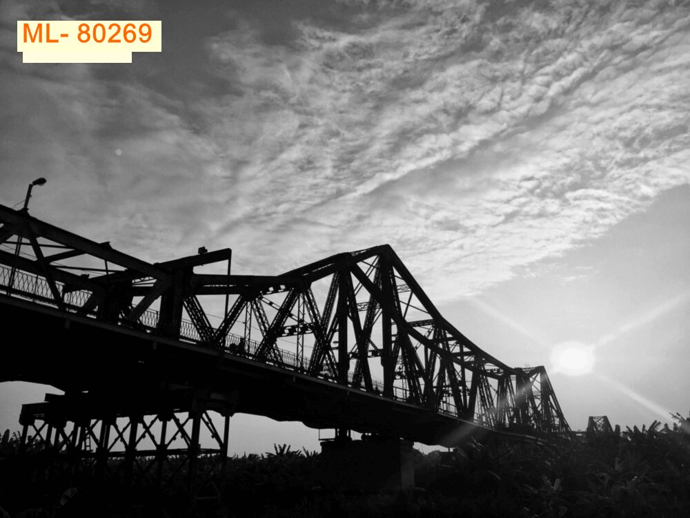 Tranh - ML80269