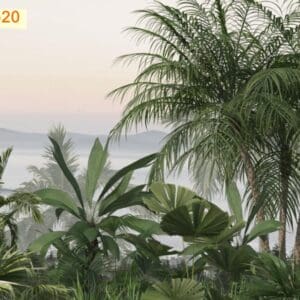 Tranh - ML80520